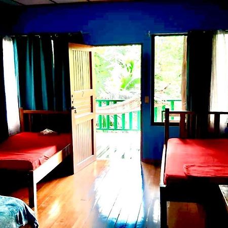 Allegra Hostel Drake Bay Ngoại thất bức ảnh