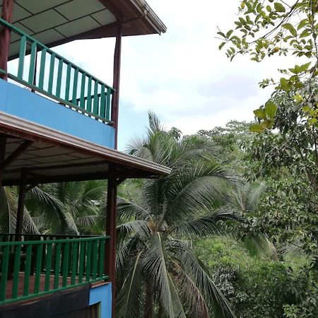 Allegra Hostel Drake Bay Ngoại thất bức ảnh