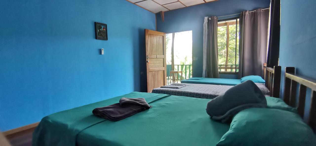 Allegra Hostel Drake Bay Ngoại thất bức ảnh