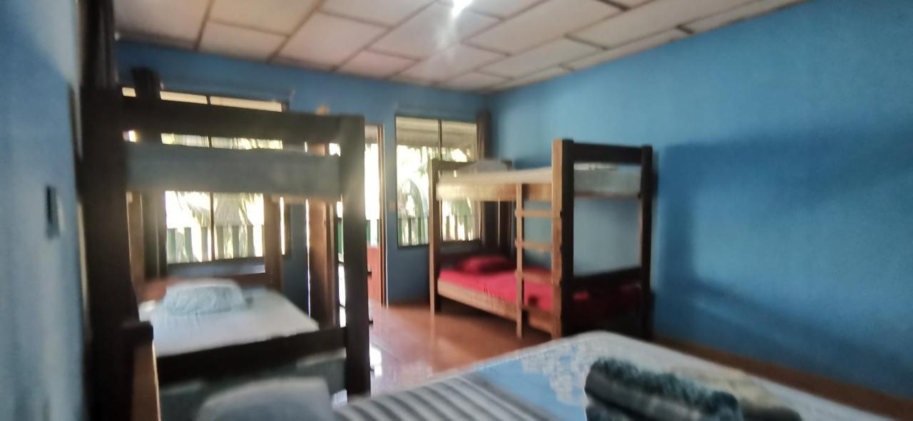 Allegra Hostel Drake Bay Ngoại thất bức ảnh